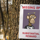A poster for a missing NFT ape nailed to a tree.
